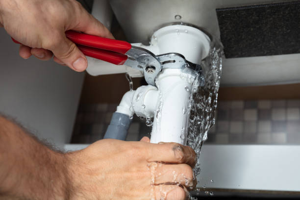 Best Flooded house restoration  in Blawnox, PA
