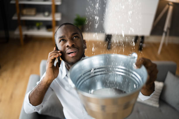Best Ceiling water damage repair  in Blawnox, PA