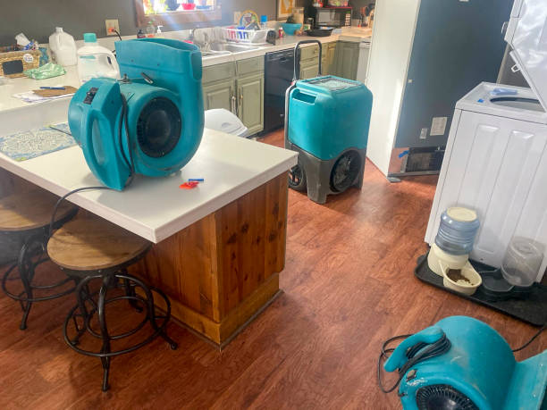 Best 24-hour water damage restoration  in Blawnox, PA