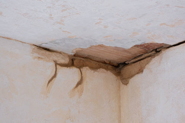 Best Flood restoration services  in Blawnox, PA