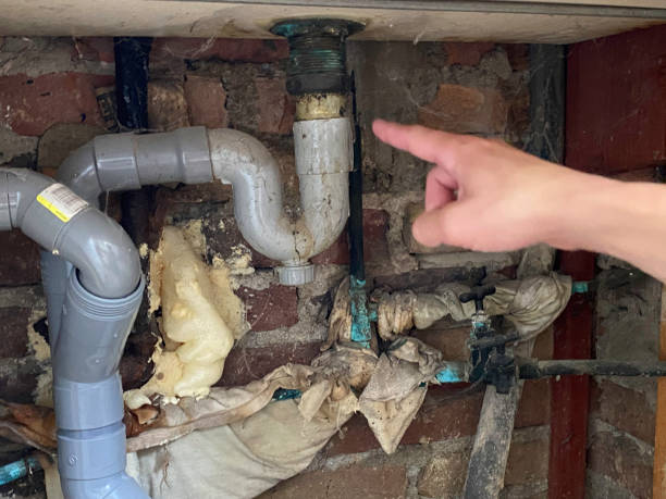 Best Commercial water damage restoration  in Blawnox, PA