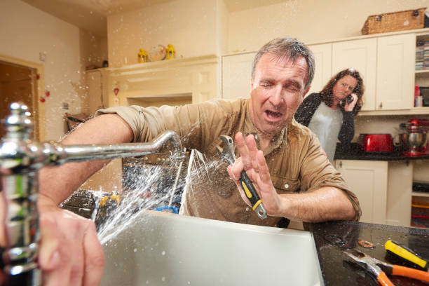 Best Water damage restoration process  in Blawnox, PA